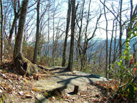 Jumpoff Rock Hiking Trails